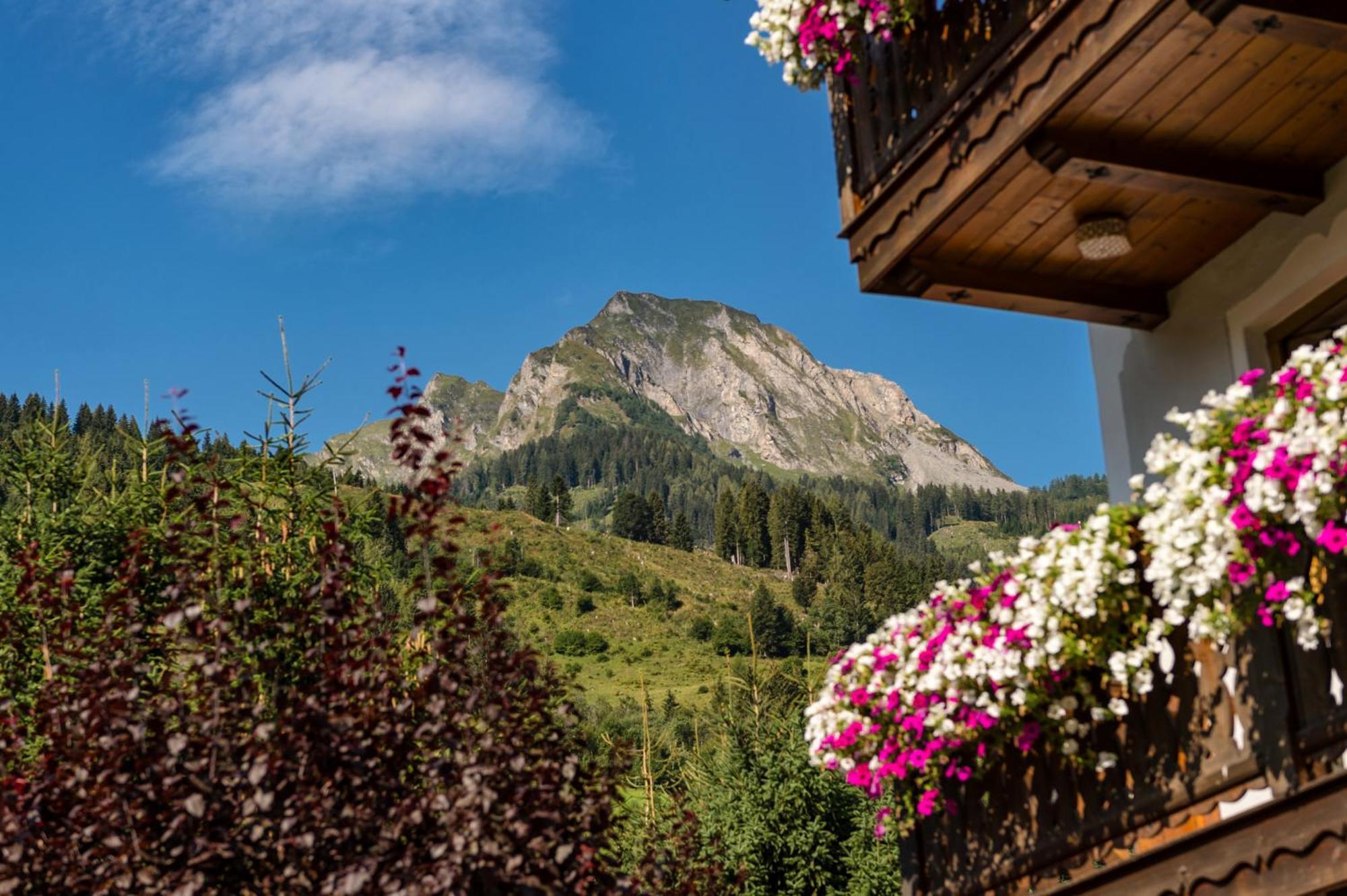 Bauernhofhotel "Die Unterbergerin" - Zimmer Mit Fruehstueck Und Ferienwohnungen In Gastein Mit Gratis Thermeneintritt Dorfgastein Luaran gambar